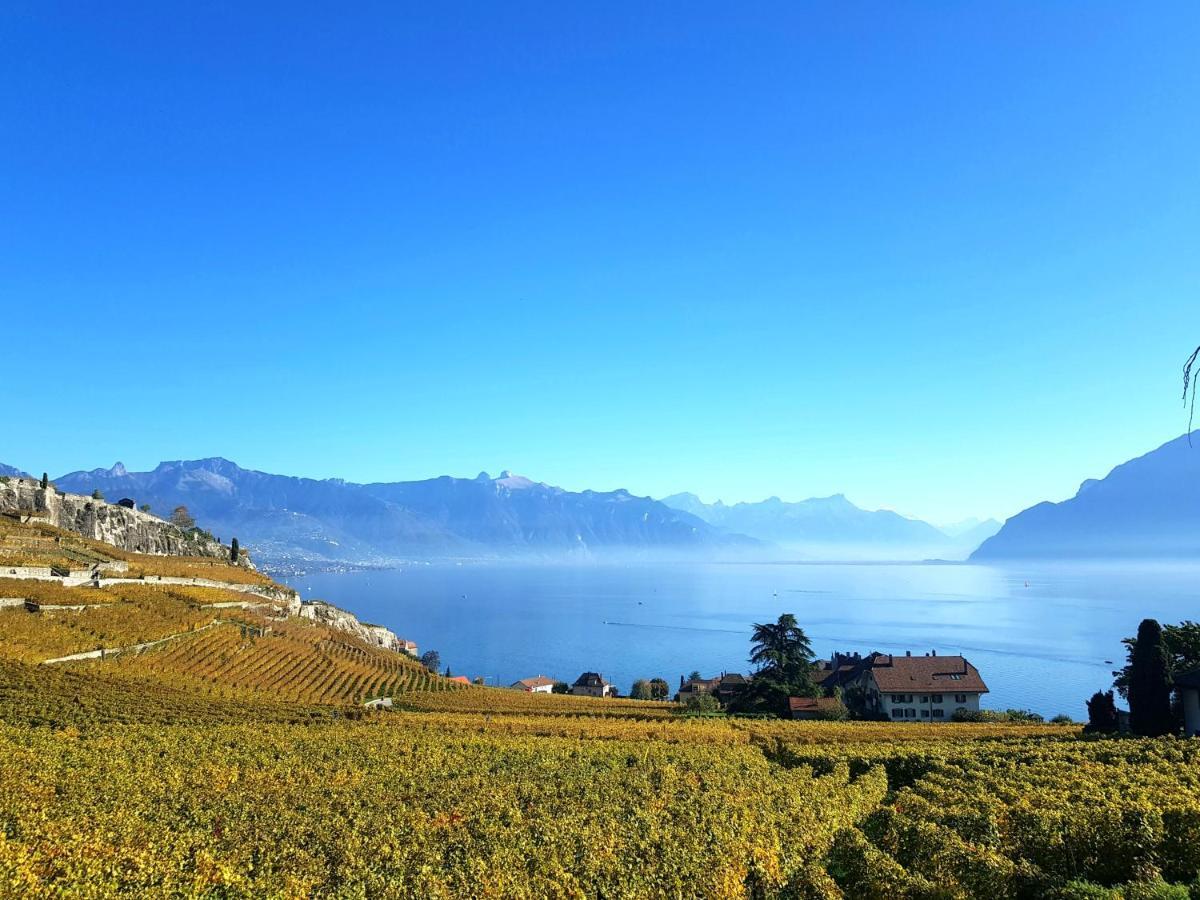 Montreux Holiday Home Luaran gambar